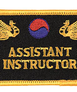 Bestickte Abzeichen Assistant Instructor - Danrho