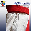 Karateanzug Kata Deluxe Evo Combo Set - Premier League - rot -blau