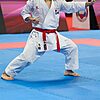Kimono Karateanzug Tokaido Kata Master Sen Premier League - WKF