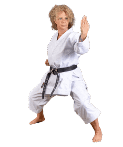 Karateanzug Kaiten Saizen Nami