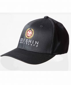 seishin-international-baseballcap