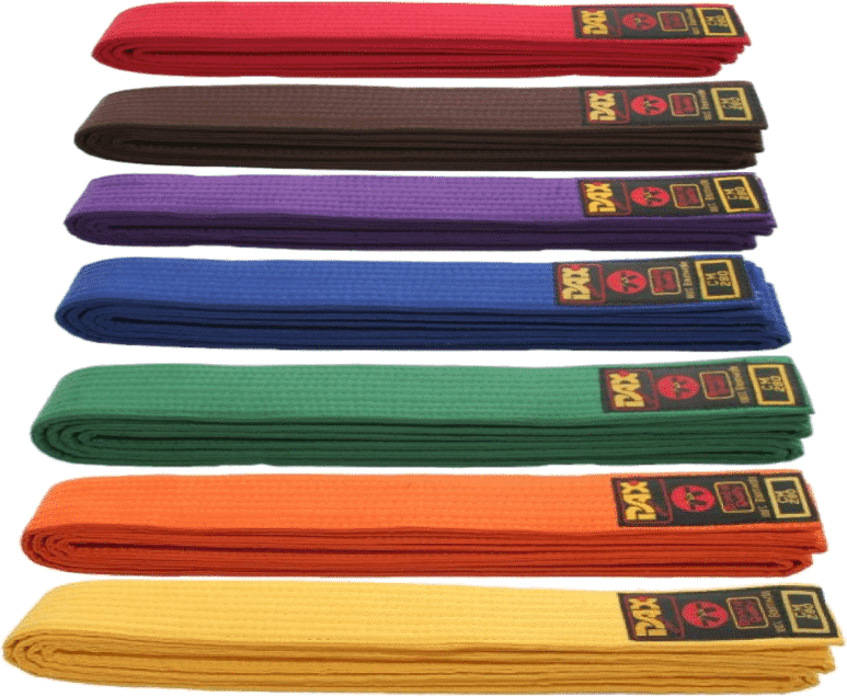 Karate-gi