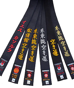 gürtel-schwarz-kamikaze-satin-oder-baumwolle-fächer-broderie-style-karate-etiketten
