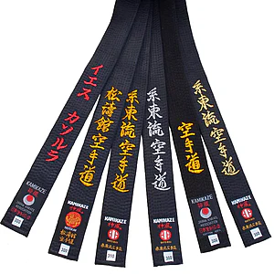 Schwarzgurte im Karate