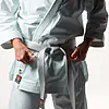 gürtel-shoshin,