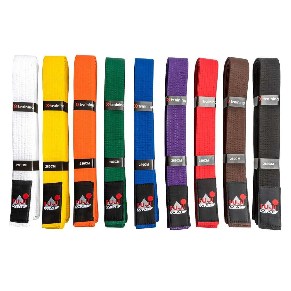gürtel-martial-arts-alle-farben-fuji-mae-