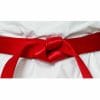 wettkampfgürtel-seishin-international-wkf-rot-satin