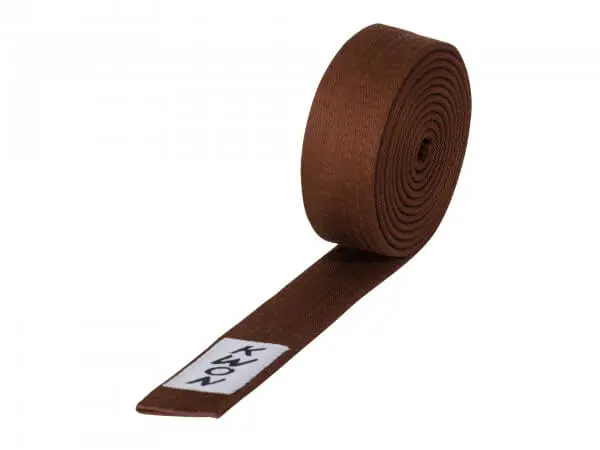 budo-kwon-farbgürtel-braun