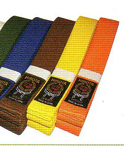 gürtel-in-hirota-farbe-100-baumwolle