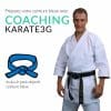coaching-karate3g-blauer-gürtel-karate-ausbildung-in-video