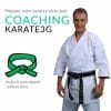 coaching-karate3g-grüner-gürtel-karate-ausbildung-in-video