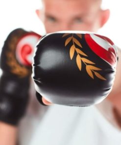 kampfhandschuhe-seishin