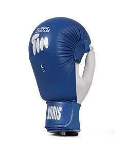 Karate-Handschuhe