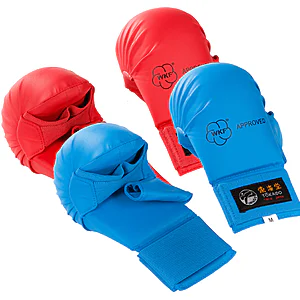 Karate Handschuhe / Armschutz