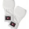 handschuhe-von-karate-tokaido-jka-weiß