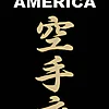 karate-gi-klack-kimono-america-kamikaze-etikett-schwarz
