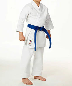 karate-gi-seishin-international-wkf-kind
