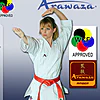 Arawaza Karateanzug AMBER Evolution für Kata - WKF Approved - GOLD EDITION - Größe 175