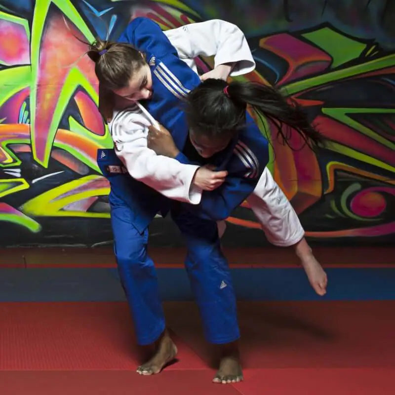 Karate-gi