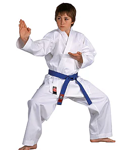 Kimono Karateanzug Dojo-Line - Danrho