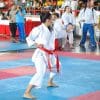 Kamikaze-Karategi PREMIER-KATA 16 kimono-karate-gi-1er-kata-kamikaze-tate-shuto-uke