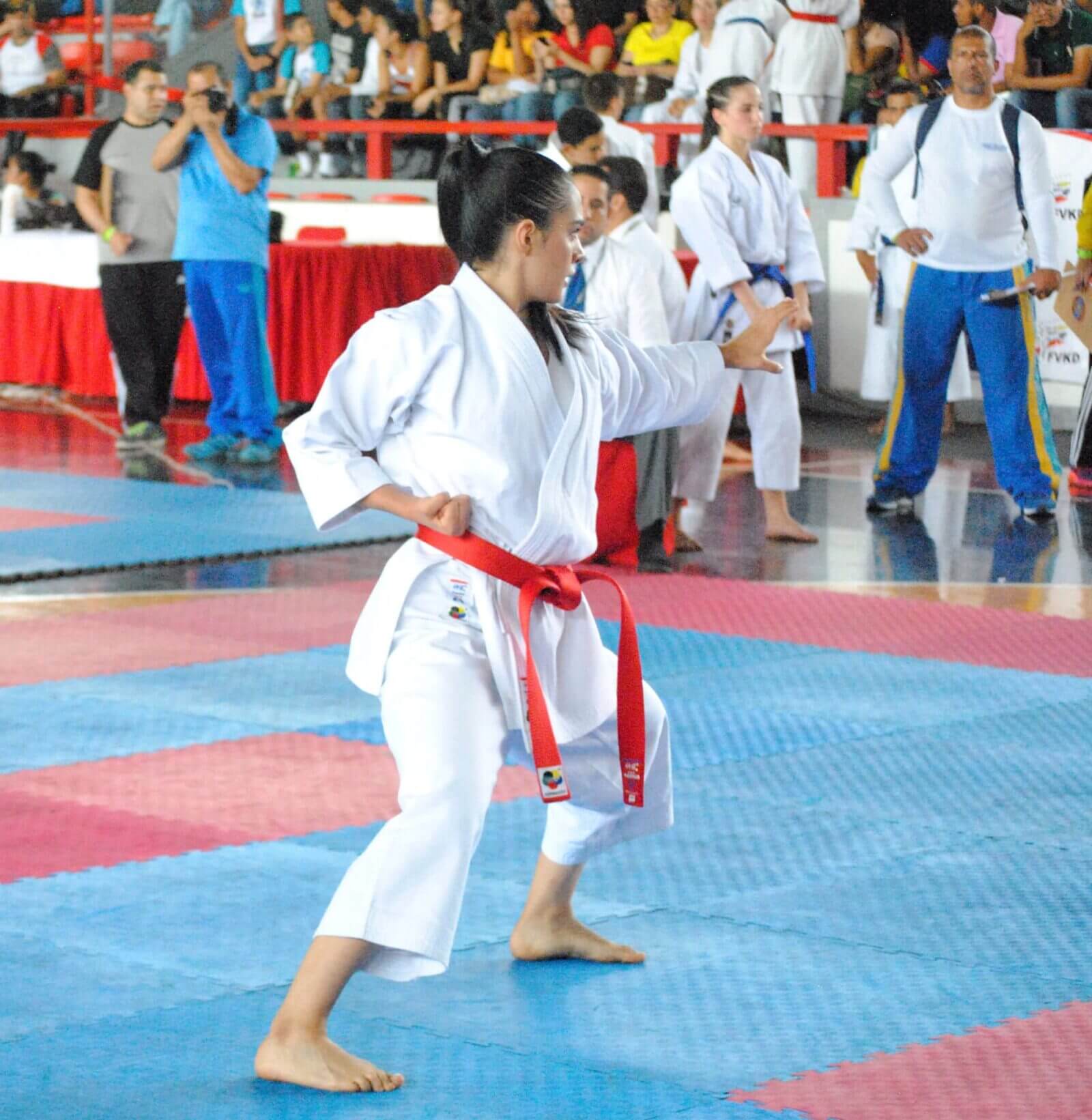 Kamikaze-Karategi PREMIER-KATA 8 kimono-karate-gi-1er-kata-kamikaze-tate-shuto-uke