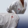 Karateanzug Arawaza Onyx Zero Gravity - WKF 10 kimono-karate-gi-arawaza-onix-zero-gravity-zoom-broderies
