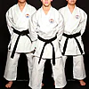 Karateanzug Shureido New Wave 3 21 kimono-karateanzug-gi-shureido-new-wave-3-equipe-wkf-approved