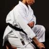 kimono-karateanzug-gi-shureido-new-wave-3-wkf-approved-tsuki-gedan