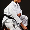 Karateanzug Shureido New Wave 3 30 kimono-karateanzug-gi-shureido-new-wave-3-wkf-approved-tsuki-gedan