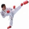 Karateanzug Shureido Waza - WKF APPROVED 10 kimono-karateanzug-gi-shureido-waza-wkf-approved