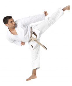 Karate-Gi Tokaido ULTIMATE - SAW - 12oz - Made in Japan - 185 (gebraucht)