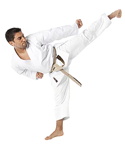 Karate-Gi Tokaido ULTIMATE - SAW - 12oz - Made in Japan - 185 (gebraucht)