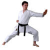 kimono-karateanzug-kaiten-revolution-sovereign-slim
