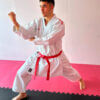 Karateanzug Kamikaze New Life Excellence Rot oder Blau 14 kimono-karateanzug-kamikaze-new-life-excellence-rot-uraken-otoshi