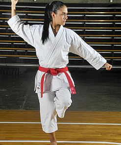 Kimono Karate Kamikaze ERSTE KATA-gangaku-kamae