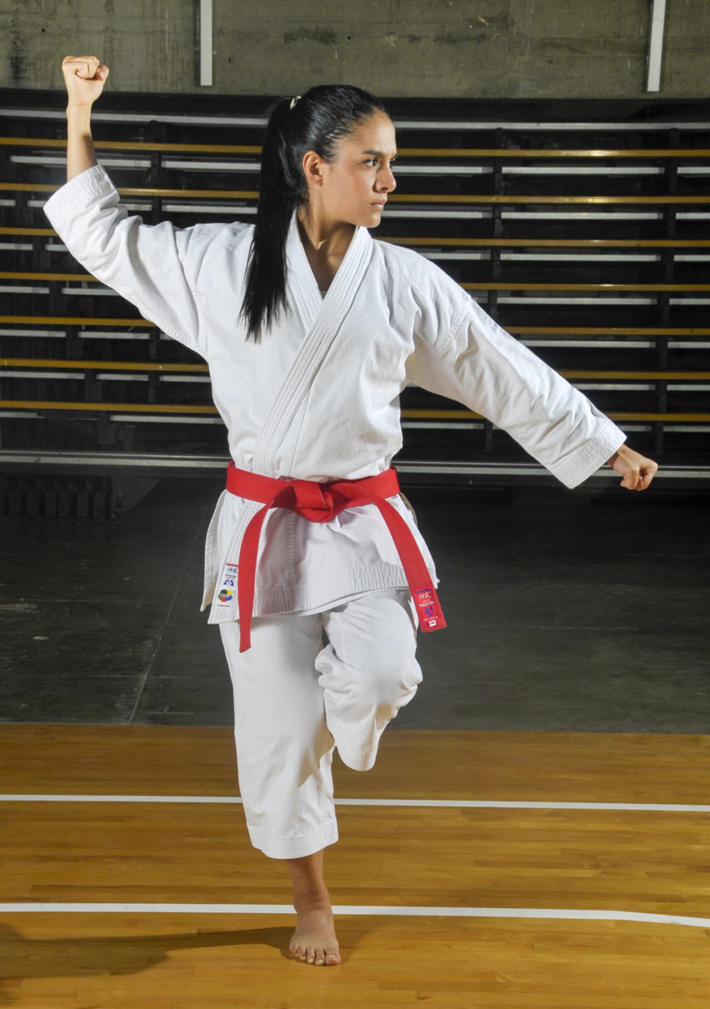 Kamikaze-Karategi PREMIER-KATA 3 Kimono Karate Kamikaze ERSTE KATA-gangaku-kamae