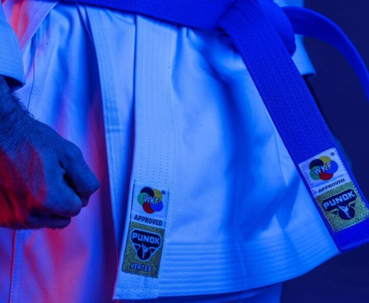 Karate-gi