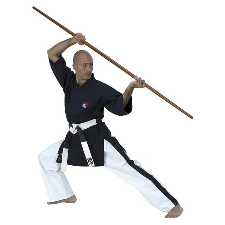 Yoseikan Budo