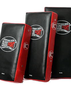 pao-box-rechts-schild-karate-budo-fight-sonne-3-größen