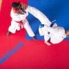 tatami-progame